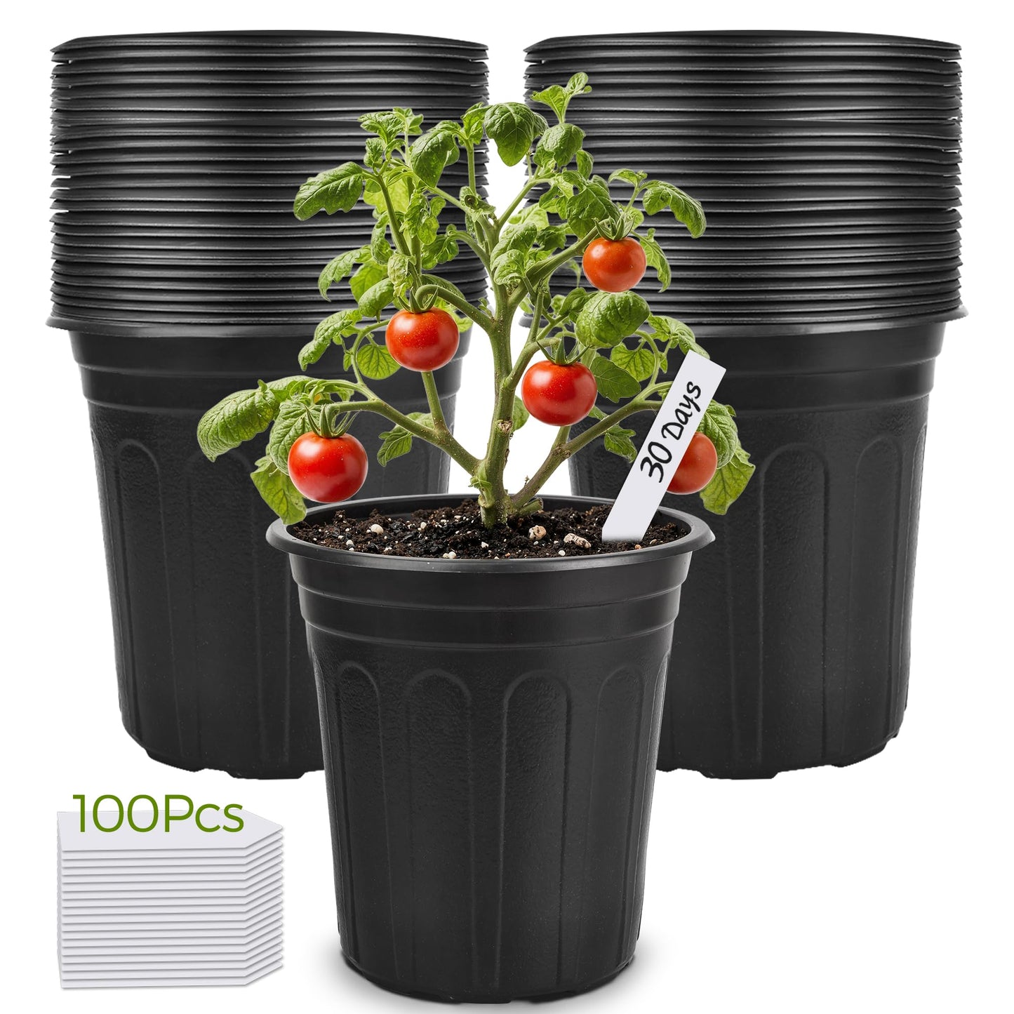GroTheory 100 Pack 1 Gallon Nursery Pots, 6.7 Inch Plastic Pots for Plants, Plastic Flower Pots, Plant Pot, Seedling Pots for Potting, Seed, Succulent, Planting Pots with Plant Labels
