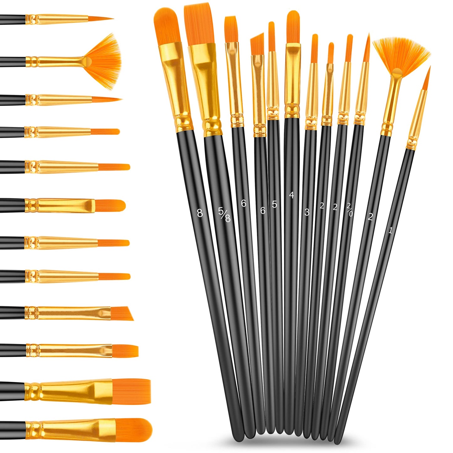 Caliart Acrylic Paint Set with 12 Brushes, 24 Colors Wood Craft Paints for Adult Artist Beginner Painter, Rich Pigments, Halloween Pumpkin Canvas Ceramic Rock Painting Art Kit Supplies