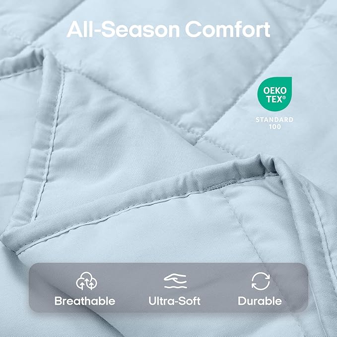 ZonLi Weighted Blanket for Adults(60"x80",15lbs, Light Blue) Queen Size High Breathability Cooling Heavy Blanket, Soft Material with Premium Glass Beads,All-Season.