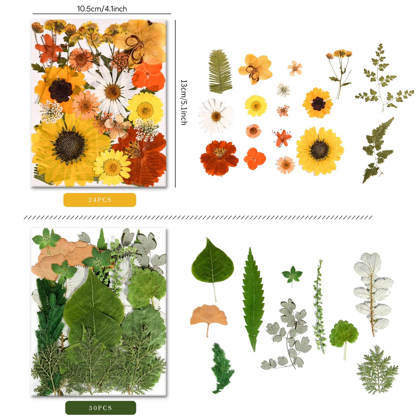 nisetten 6 Pack 150PCS Real Pressed Dried Flowers Dry Leaves Craft Kit - Natural Dried Flowers for DIY Crafts, Resin Jewelry, Cards, Soap, CandleMaking, Nail Art, and Scrapbooking (Colorful)