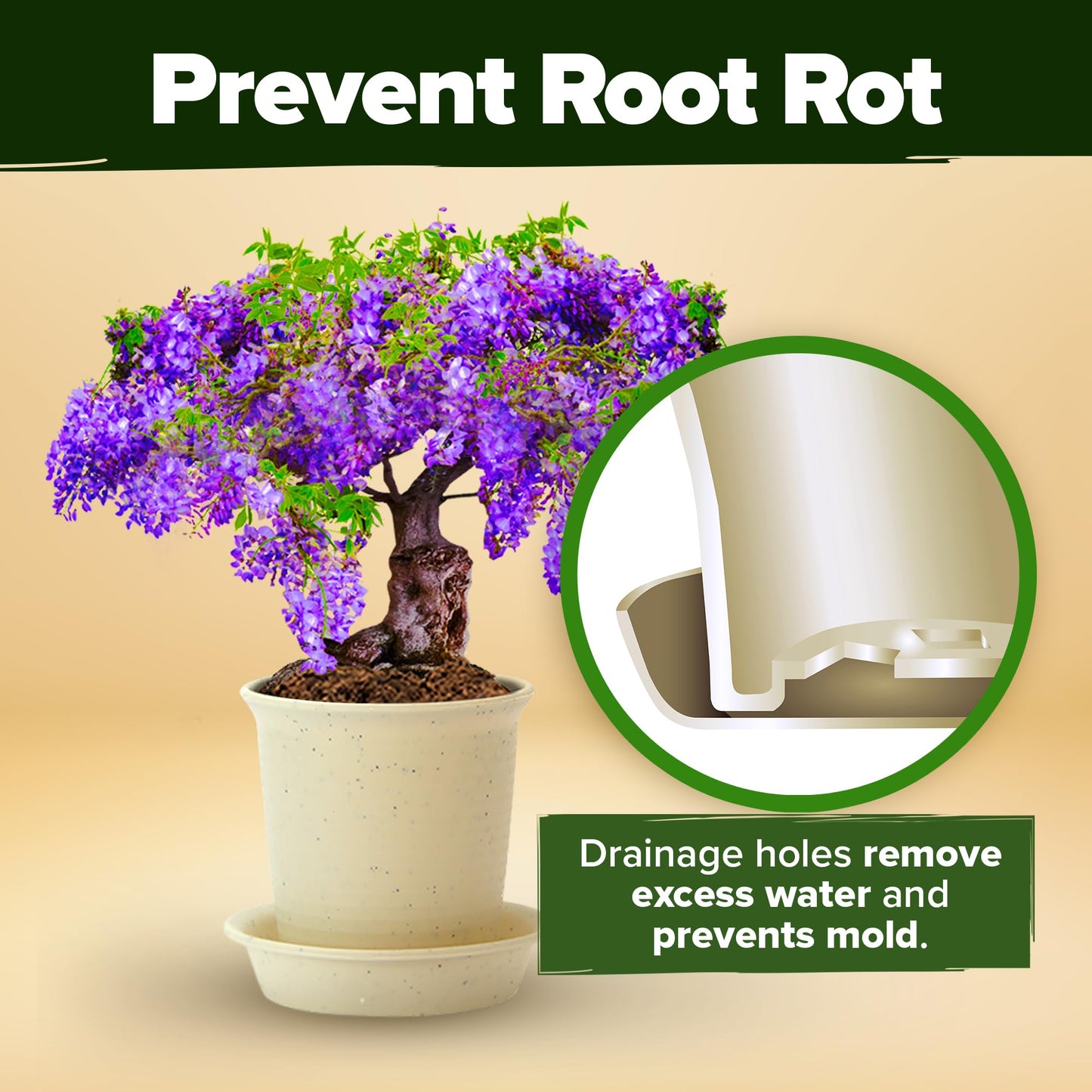 Bonsai Tree Kit Gifts for Men & Women - Grow 4 Bonsai Trees - Unique Gardening Crafts for Adults, DIY Hobbies for Plant Lovers & Gardeners - Unusual Christmas Gift Ideas for Mom & Dad