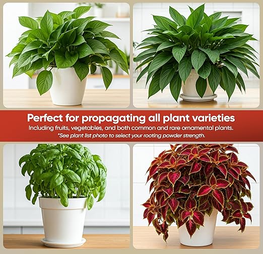 Hormex Rooting Hormone #1 - Rooting Powder for Delicate Houseplants, Succulents & Herb Cuttings | Promotes New Root Growth for Easy Propagation (0.1% IBA)
