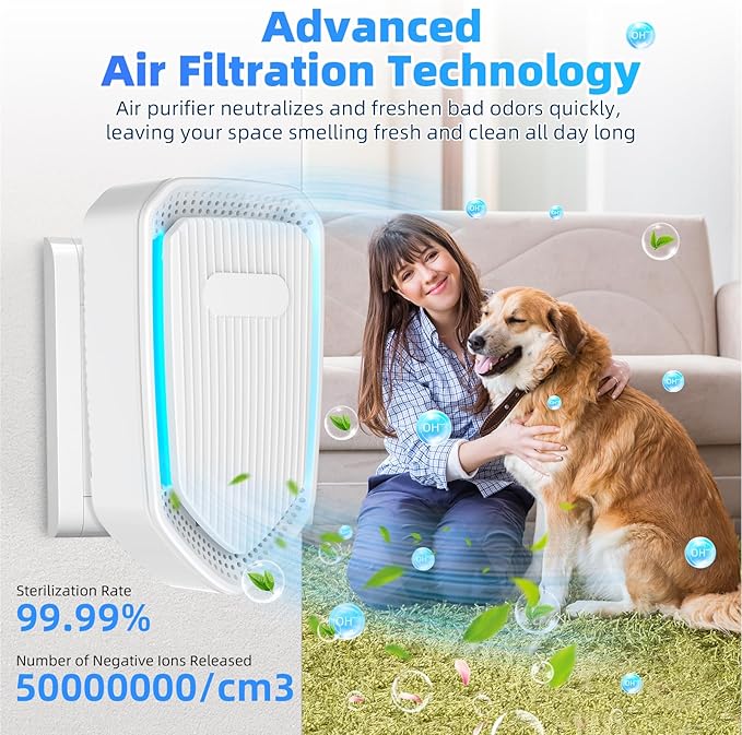 8Pack Air Ionizer Plug In - Negative Ion Air Purifiers, Quiet Air Freshener Portable Cleaner, Home Negative Air Purifier for Home, Bedroom, Office, Odor Reducer Pets, Smoke Smell