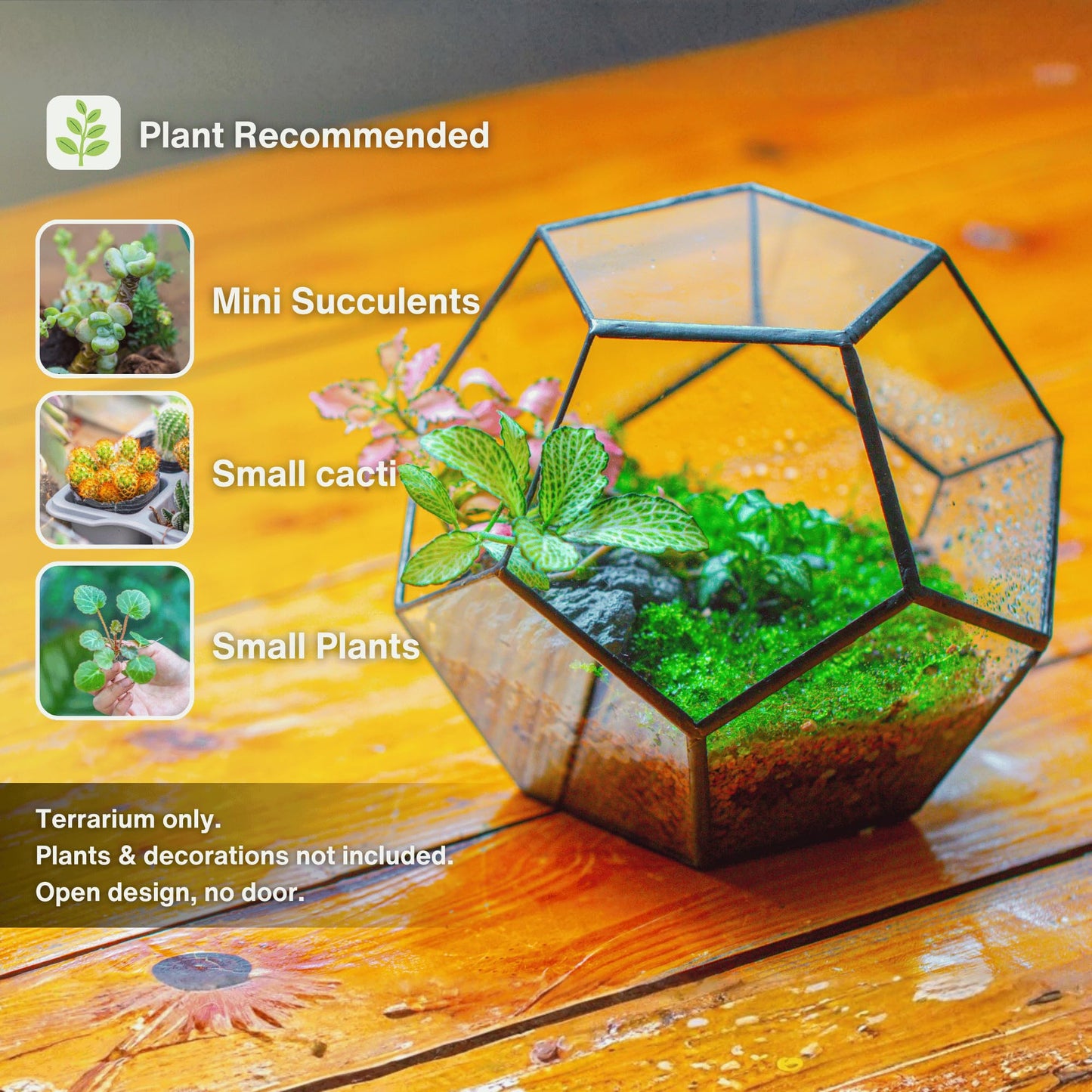 NCYP Small No Door Terrarium Planter - 6.8" x 6.8" x 5.9" Open Geometric Glass Terrarium Pot for Mini Succulents, Small Cactus - Home Tabletop Miniature Decor, Black (No Plants)