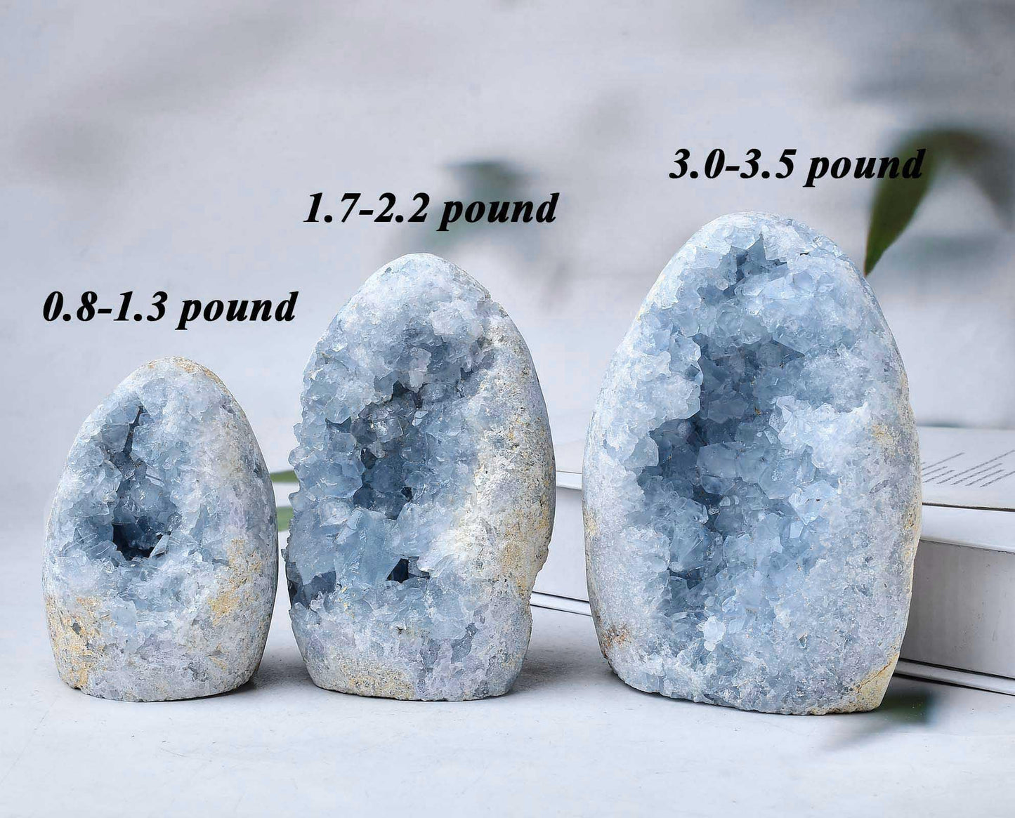 FZBHRO Natural Blue Celestite Cluster Geode Healing Crystal Stone Collection Mineral Specimen Home Office Decor Meditation Gifts 0.8-1.3 Pound