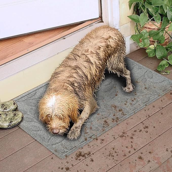 WaterHog Welcome Mat for Indoor/Outdoor, 2’ x 3’, Made in USA, Durable & Water-Resistant, Dirt Trapping Mat, Decorative Front Door and Entryway Rug, Brittney Leaf Design, Medium Grey