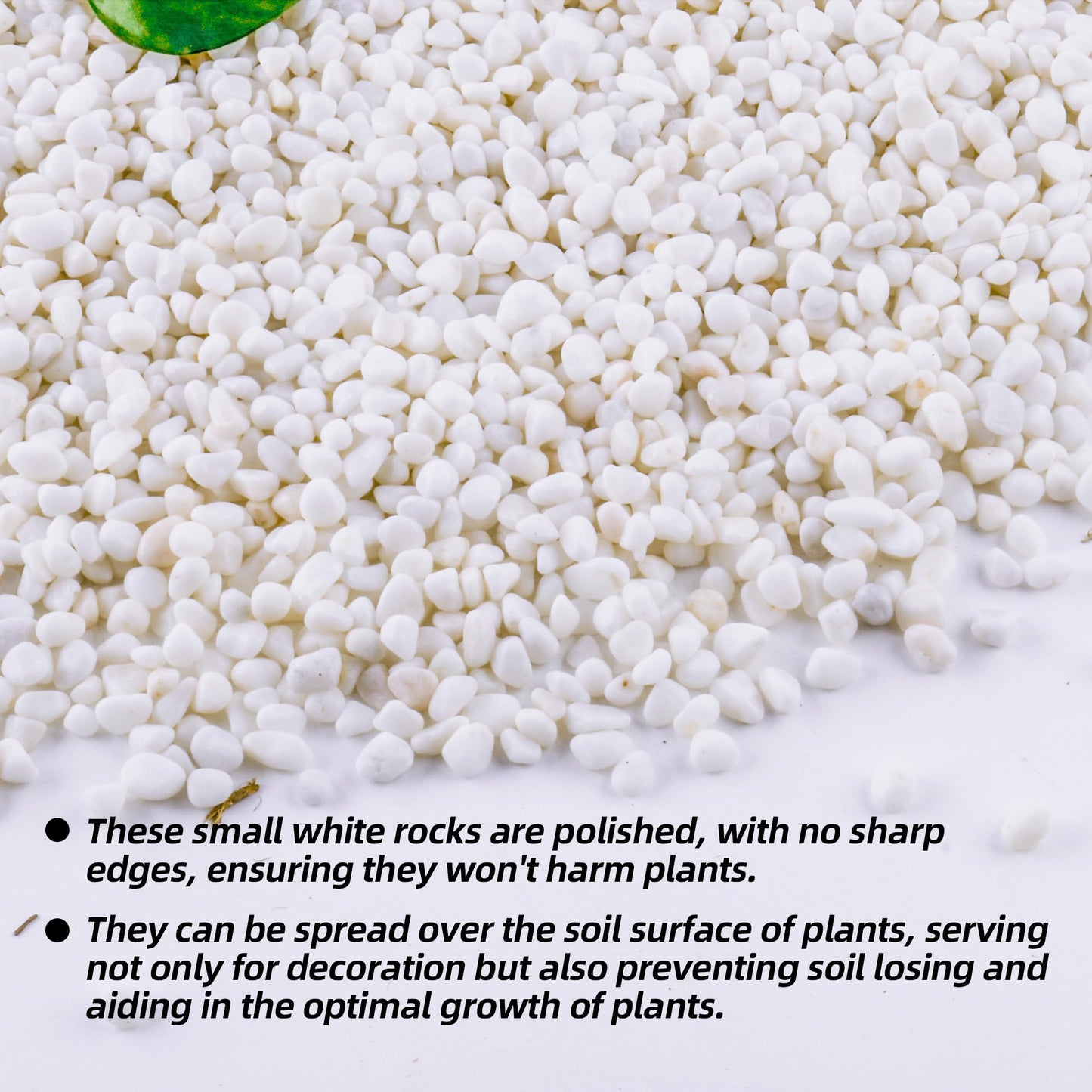 18lb 1/4" Small White Rocks for Plants,Potting,Succulents Aquarium Fish Tank Garden Vases Decorative Pebbles Gravel Rocks Stones