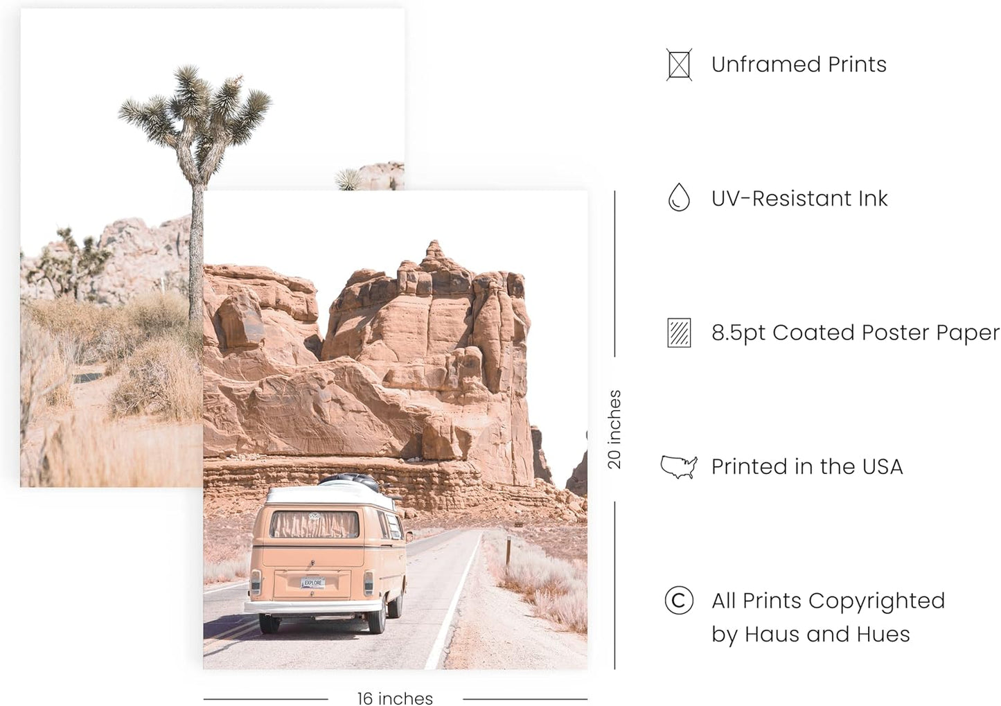 HAUS AND HUES Desert Succulent Wall Art - Set of 6 Botanical Prints, Southwestern Wall Decor, Cactus Posters, Joshua Tree Wall Art UNFRAMED (16x20)