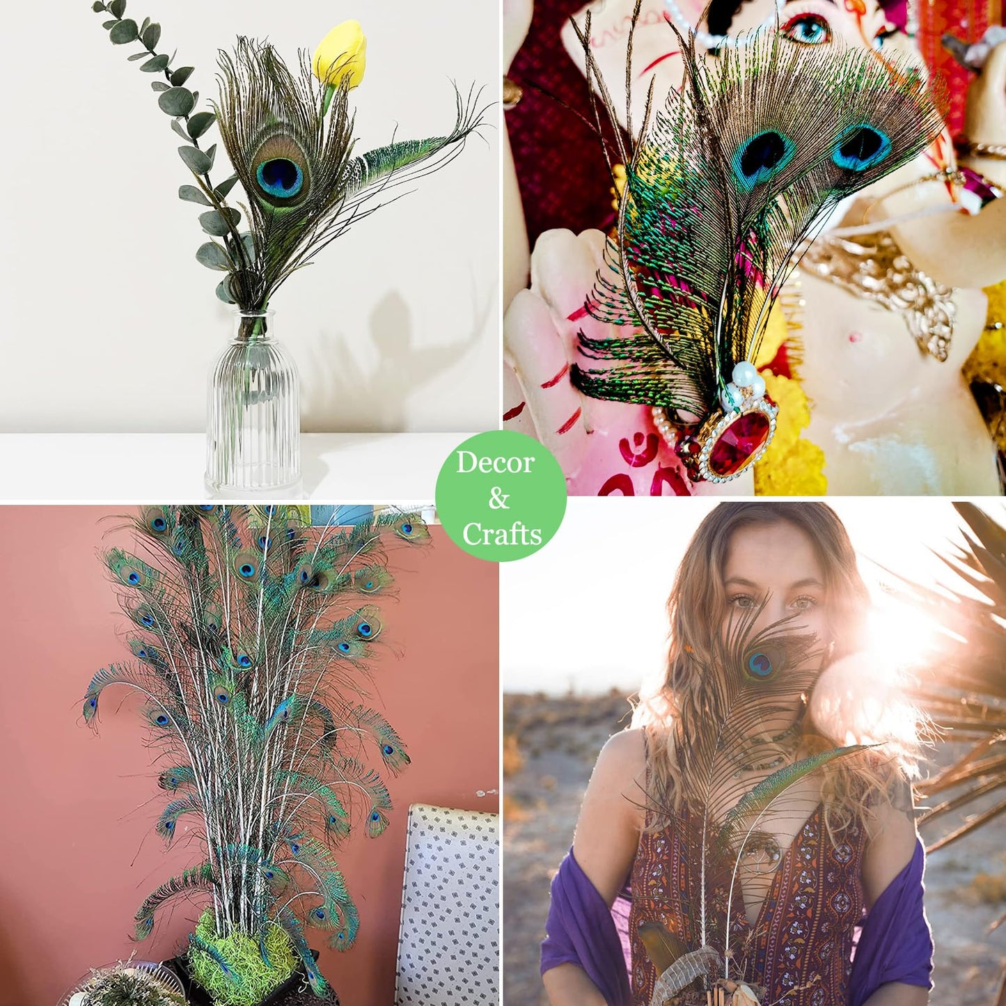 50pcs Natural Peacock Sword Feathers 12-14 Inch for Home Decor Wedding Party Vase Decoration Hat Costume DIY Crafts Floral Arrangements Christmas Tree Ornaments (25 Left & 25 Right)