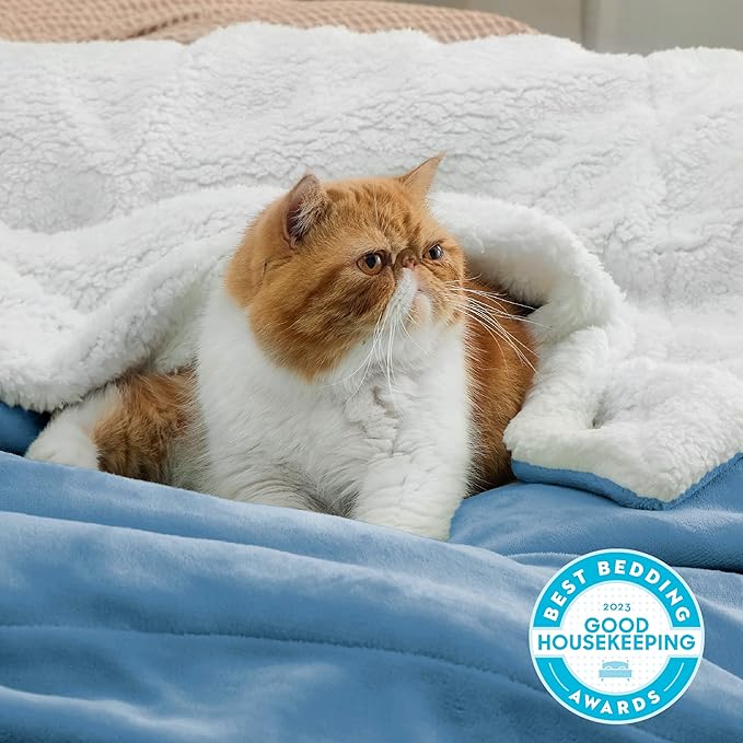 Bedsure GentleSoft Sherpa Fleece Throw Blanket for Couch - Thick and Warm Throw for Women and Men, Soft Fuzzy Plush Blanket for Winter, Non-Heated, Washed Blue, 50x60 Inches