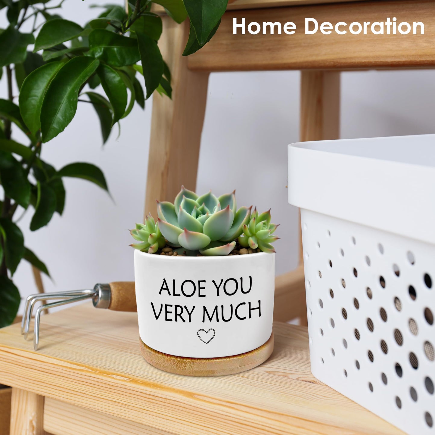 ROXMART Aloe You Very Much Funny Plant Pots, Gardener Gifts for Women Men Succulent Planters, Funny Gardening Gifts Ceramic Plant Flower Pots for Home Office Desk Table Shelf(No Plants)