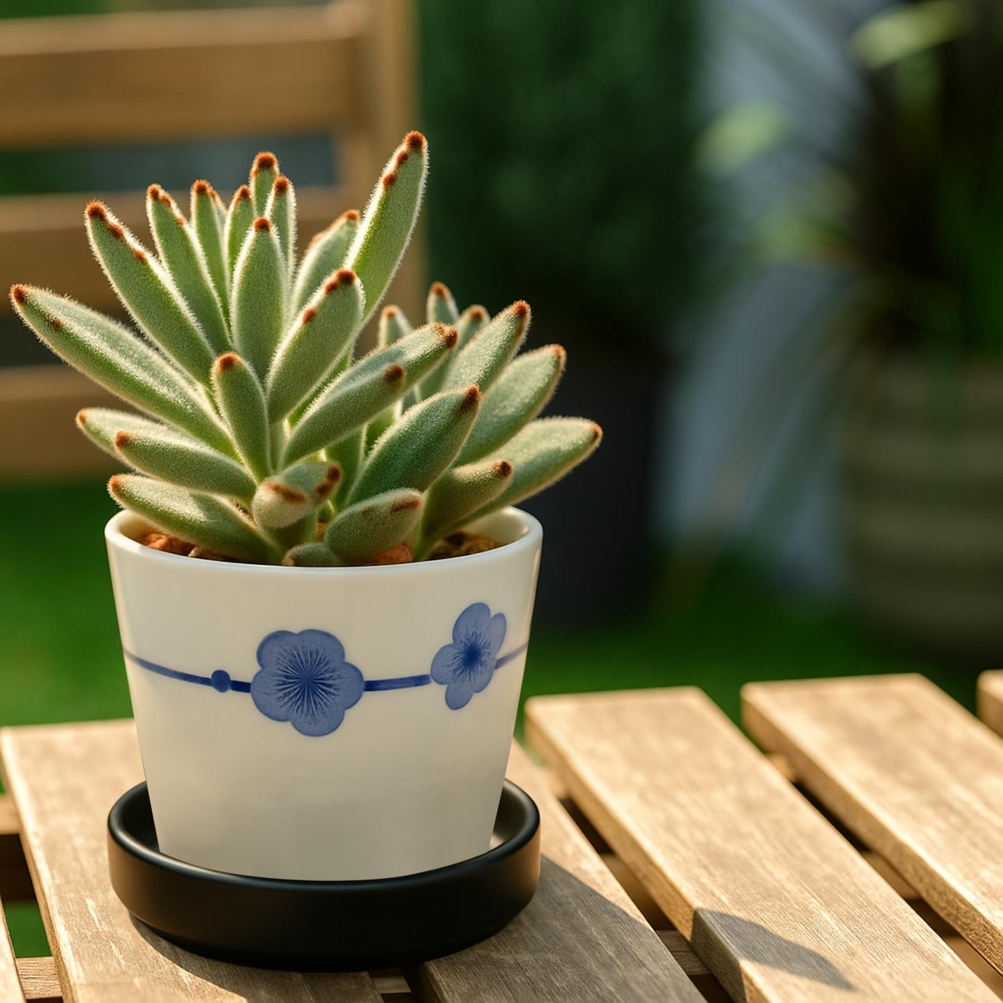 D'vine Dev Modern Round 3.7 Inch Ceramic Plant Pot Saucer, Planter Pot Drainage Tray for Indoor Plants, Matte Black, 97-T-B-1