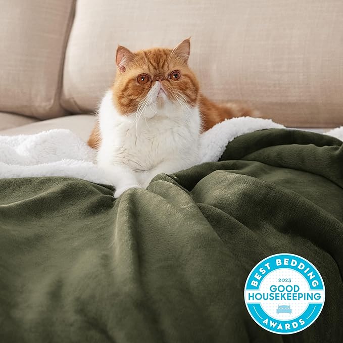 Bedsure GentleSoft Sherpa Fleece Throw Blanket Twin Size for Couch - Thick and Warm Throw for Women and Men, Soft Fuzzy Plush Twin Blanket for Winter, Non-Heated, Olive Green, 60x80 Inches