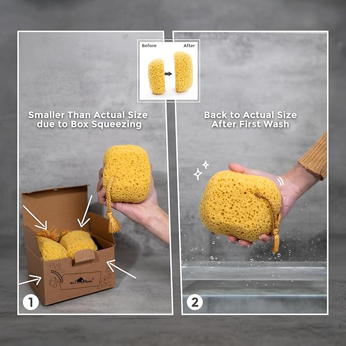 myHomeBody Bath Sponge, Foam Loofah, Body Scrubber for Bathing, Exfoliating Shower Pouf for Shower – Large Size, Lots of Lather, Round, 2 Pack