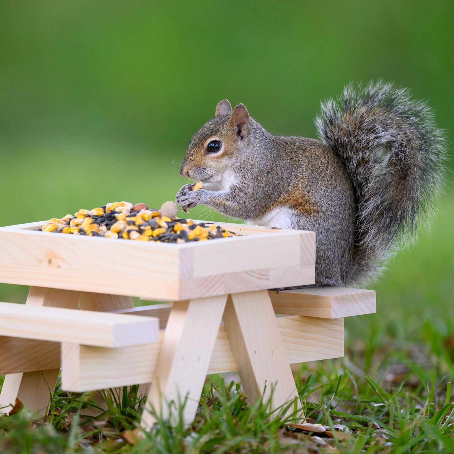 Audubon Park Squirrel & Critter Food, 15-lb. Bag
