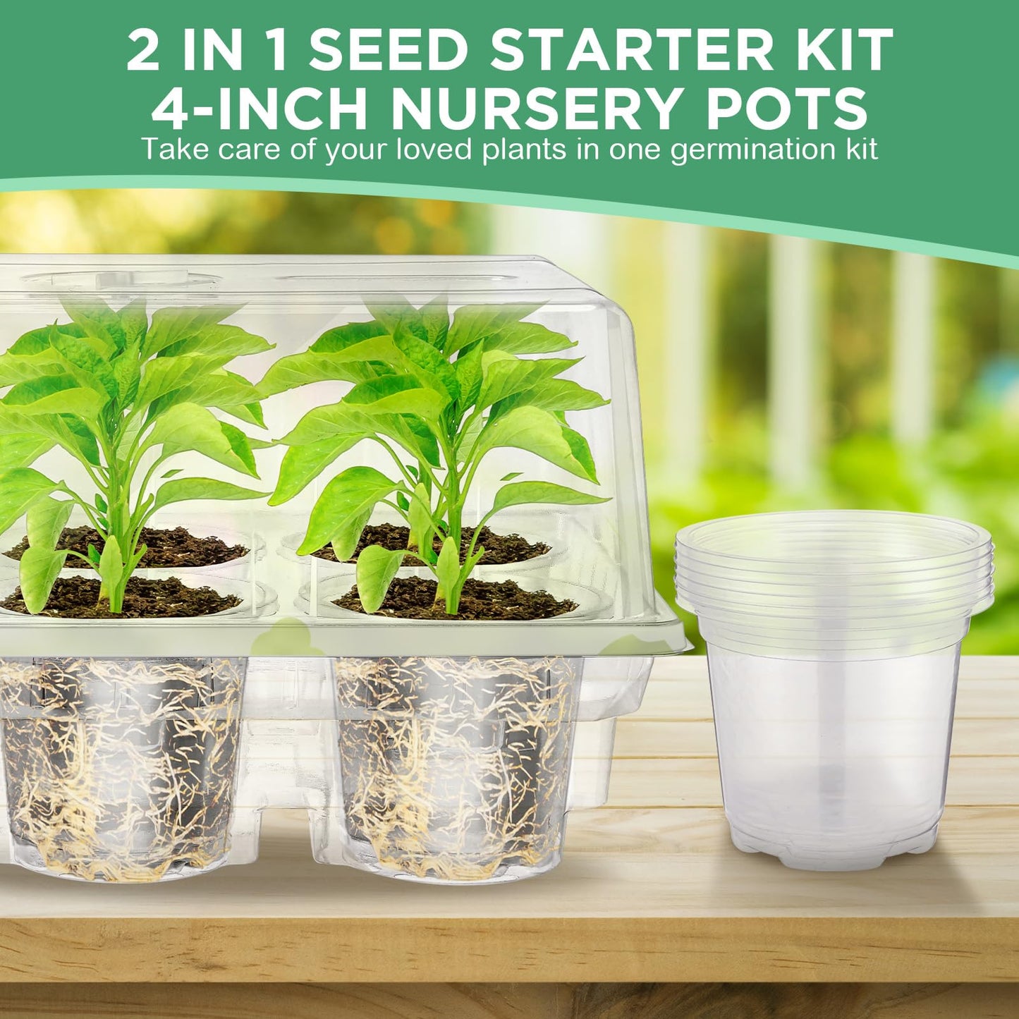 Vesici 10 Pack Seed Starter Tray Kit Seedling Starter Trays with 60 Pcs 4 Inch Nursery Pots and Humidity Dome (60 Cells) Mini Greenhouse Plant Germination with Labels for Garden(Clear)