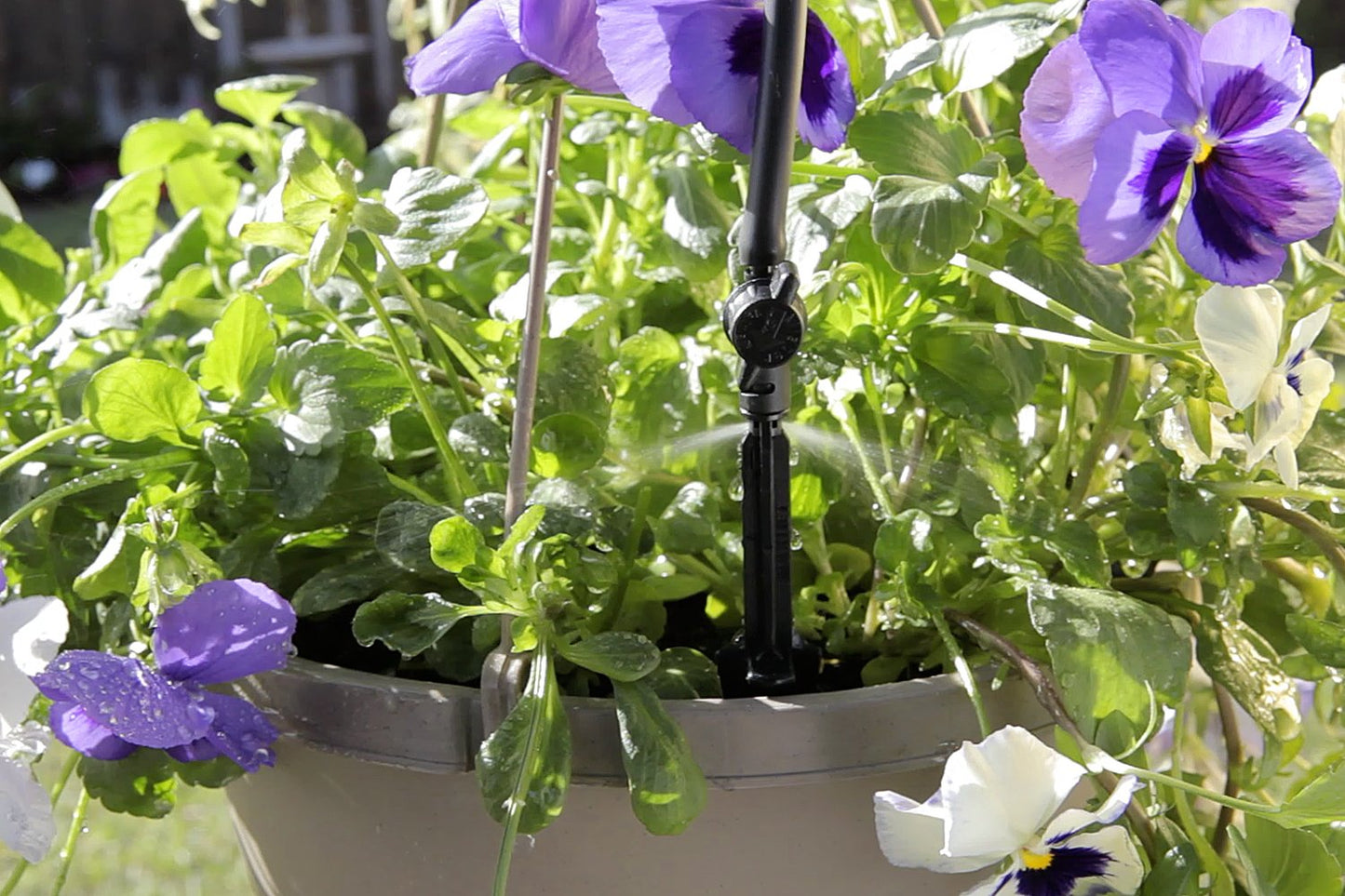 Mister Landscaper Micro Spray Pot Stake Kit