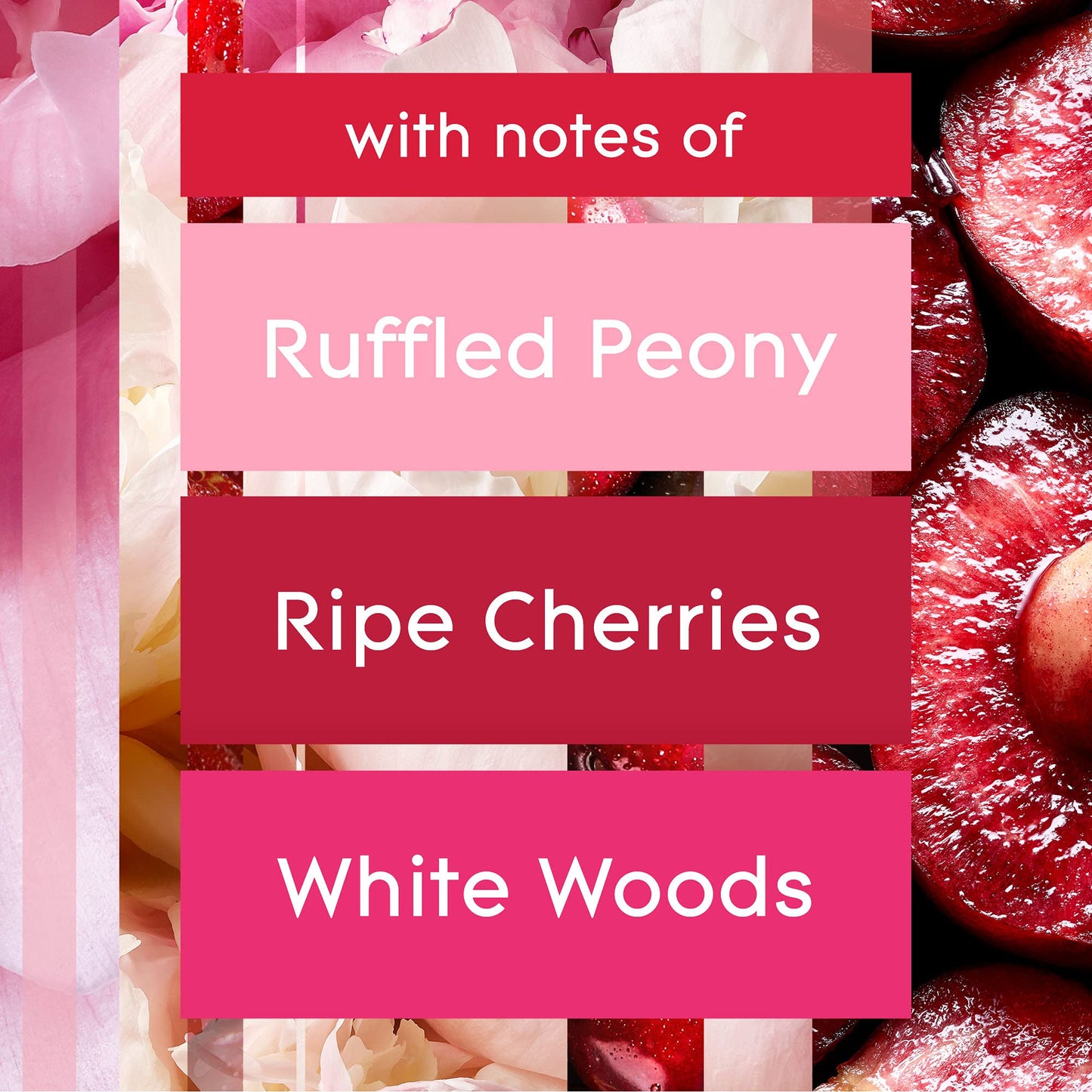 Glade Plugins Refills Air Freshener, Scented And Essential Oils For Home And Bathroom, Blooming Peony & Cherry, 1.34 Fl Oz, 2 Co