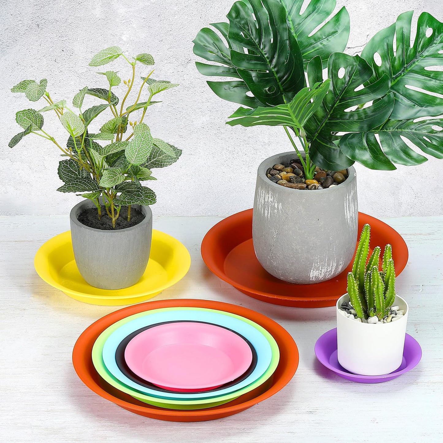 PATIKIL 10 Inch Plant Saucer Tray, 5 Pack Plastic Drip Tray Round Collects Excess Water Flower Pot Drainage Trays for Heavy Indoor Outdoor Pan, Yellow