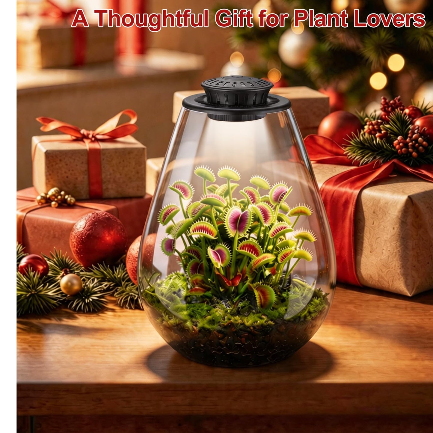 Xyingshine Glass Plant Terrarium with LED Grow Light, 7.8" Borosilicate Terrarium with Adjustable Ventilation & Timer, for Venus Fly Trap, Moss, Succulents, Mini Landscape, Desk Decor for Home Office