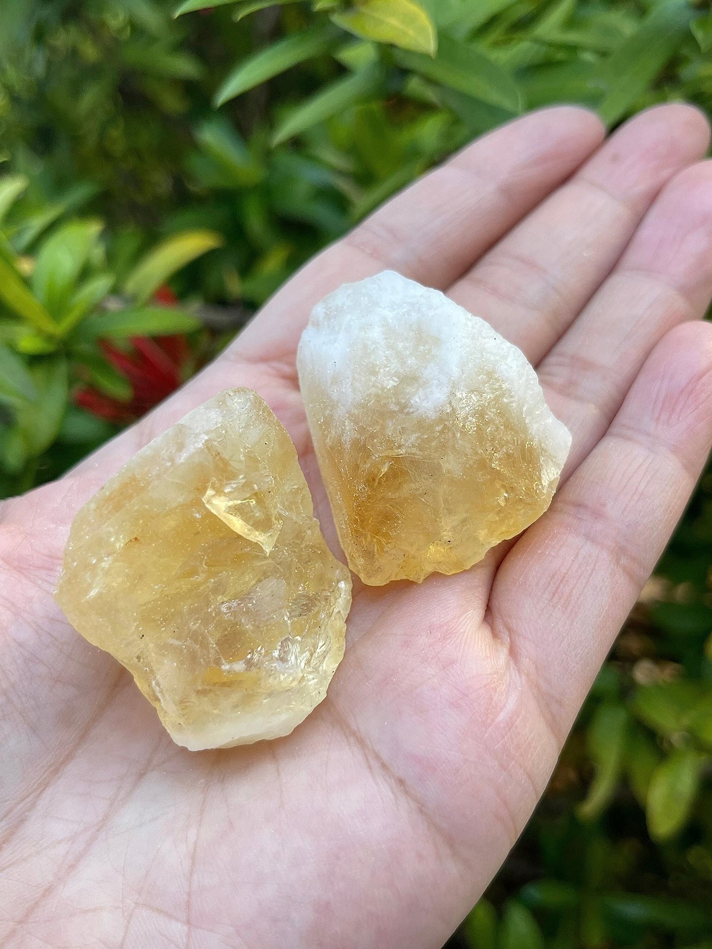 GAF TREASURES 3 Pcs Raw Citrine Crystals, Natural Citrine Stone, Natural Rough Citrine Crystals, Citrine Rough, Citrine Healing Crystals (Citrine)