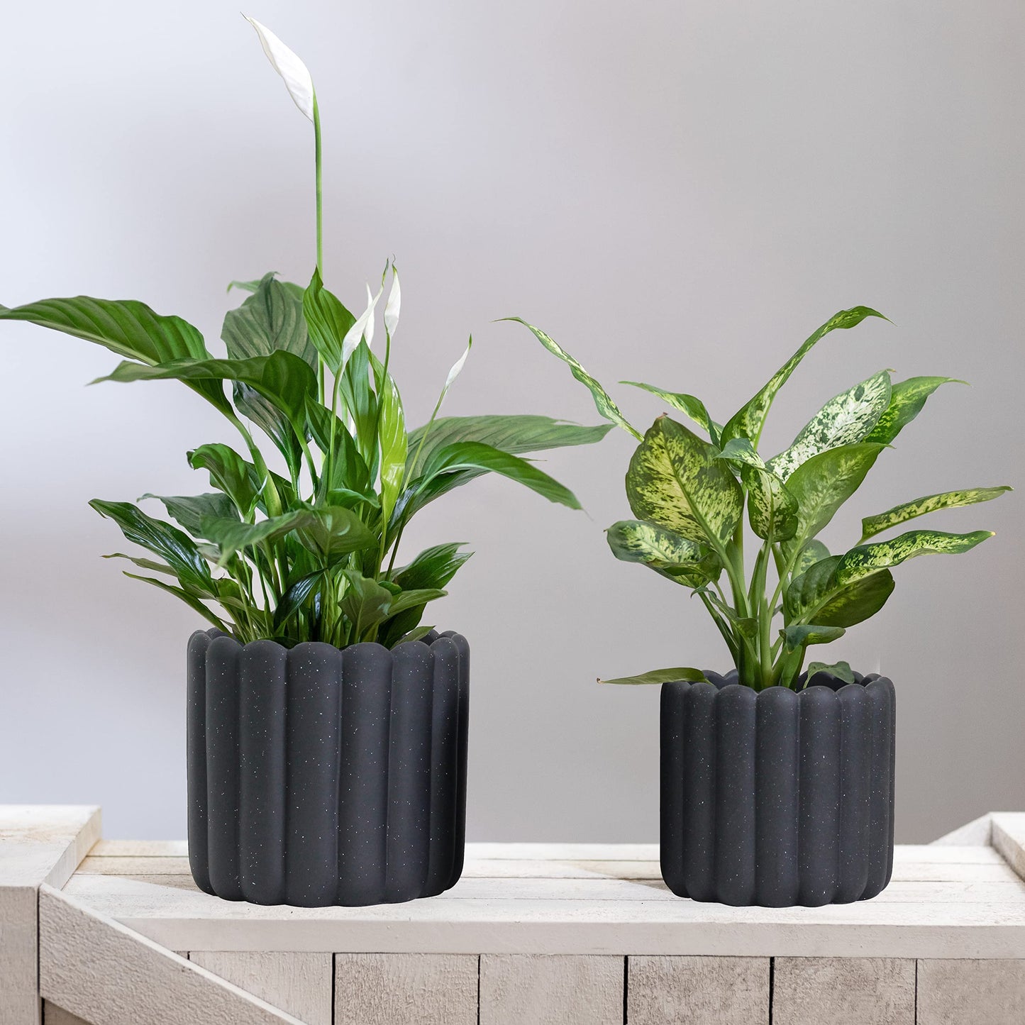 Olly & Rose iOS Vertical Striped Ribbed Plant Pot - Charcoal Speckled Ceramic Planters - 6.6 + 5 Inch Indoor and Outdoor Flower Pots Home Decor (Black Ribbed)