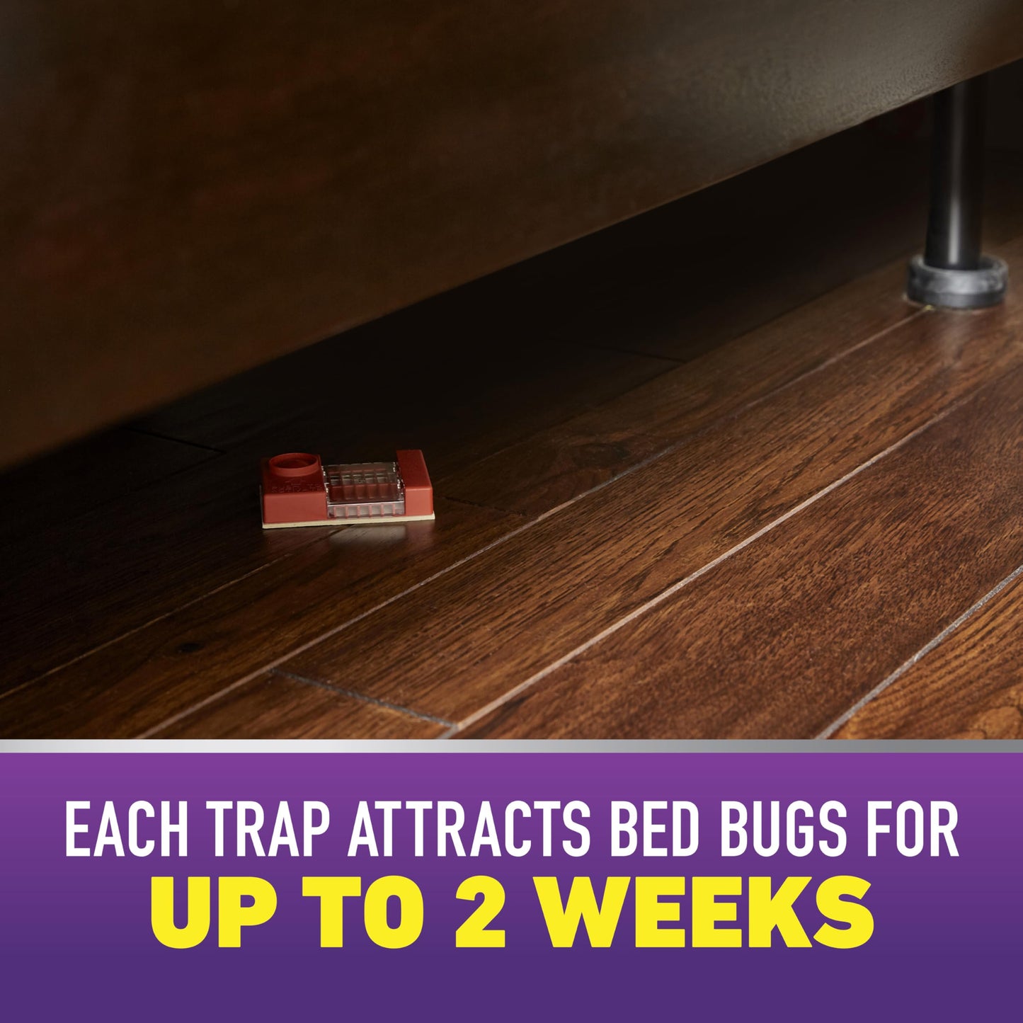 Ortho Home Defense Max Bed Bug Trap - Detect Bed Bugs in Homes and While Traveling, Package Contains 2 Traps