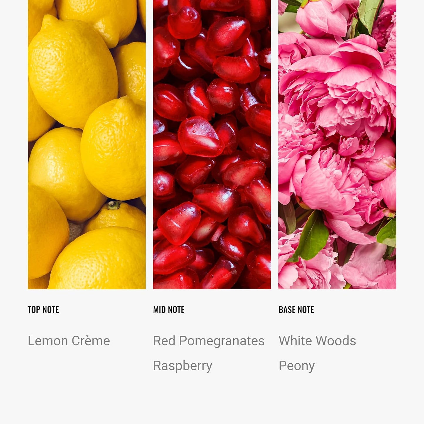 Hotel Collection Diffuser Oil - Sweetest Taboo - Aromatherapy Essential Fragrance Oil - White Woods, Pomegranate, and Peony - 50mL 1.7 Fl oz