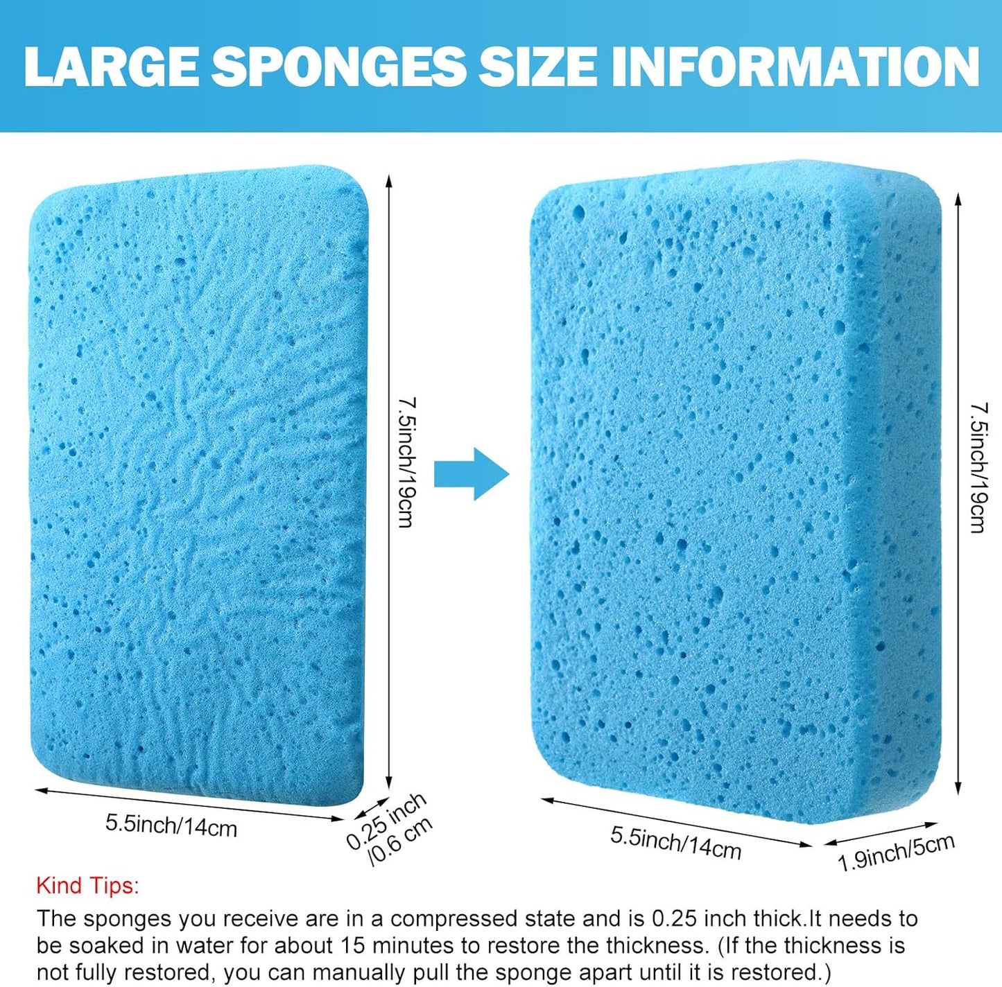 Tioncy 24 Pcs Large Sponges Bulk 7.5 x 5.5 x 1.9 Inch Grouting Car Wash Foam Cleaning and Washing Sponge Commercial Foam Large All Purpose for Cleaning Dishes Car Tile Bike (Blue)