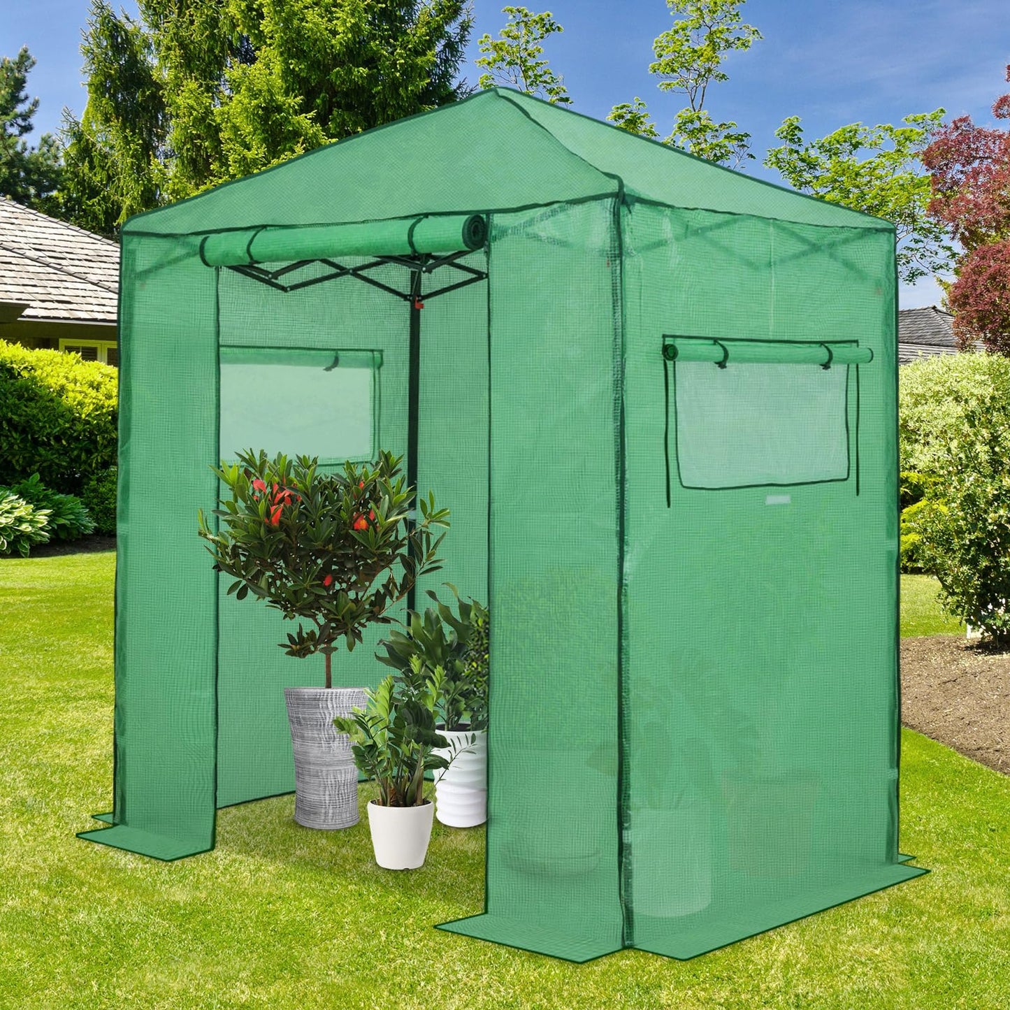 EAGLE PEAK 6x4 Portable Walk in Greenhouse, Pop Up Indoor Outdoor Greenhouse, Green House Kit with Zippered Roll-Up Doors and Windows, PE Cover, Clear/Green
