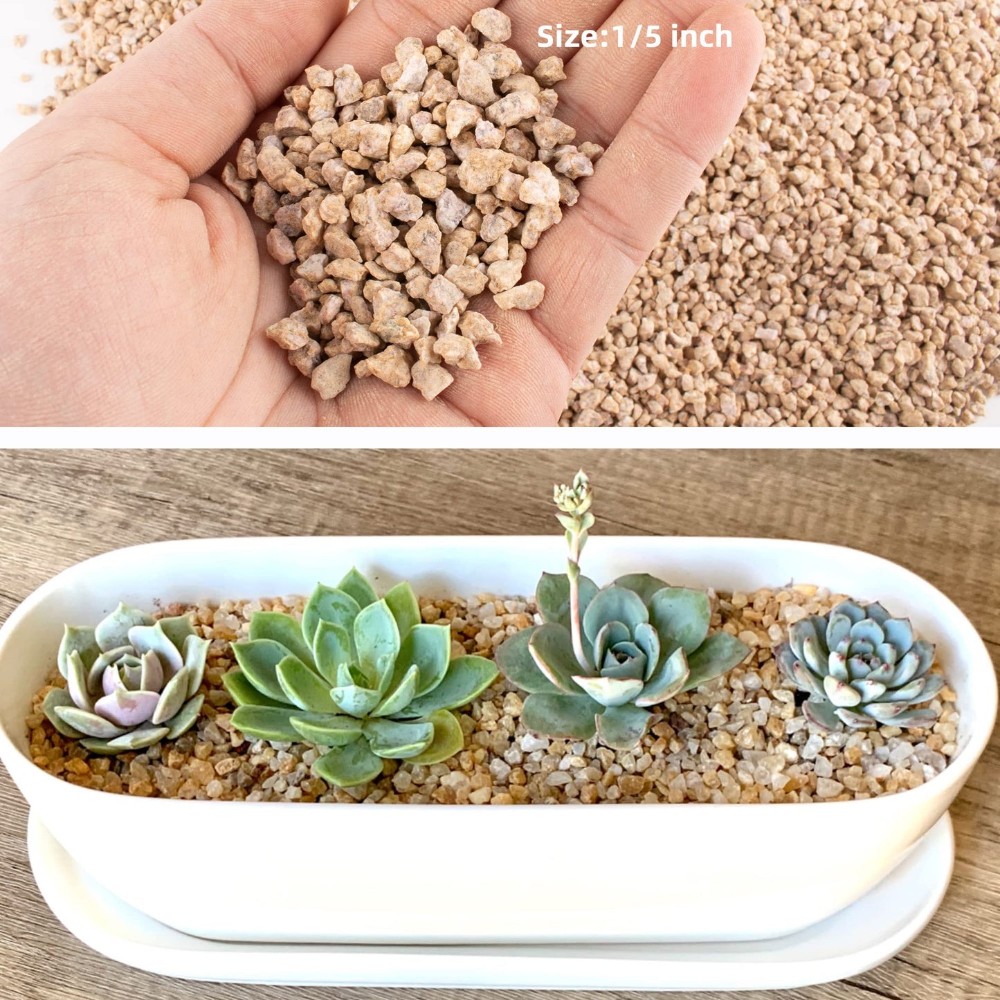 18lb Maifanitum Stones for Succulent Cactus Bonsai Decorative Rocks-Indoor Plants Soil Covers,Horticultural Gravel, Potting Pebbles for Terrarium, Fairy Gardening, Top Dressing