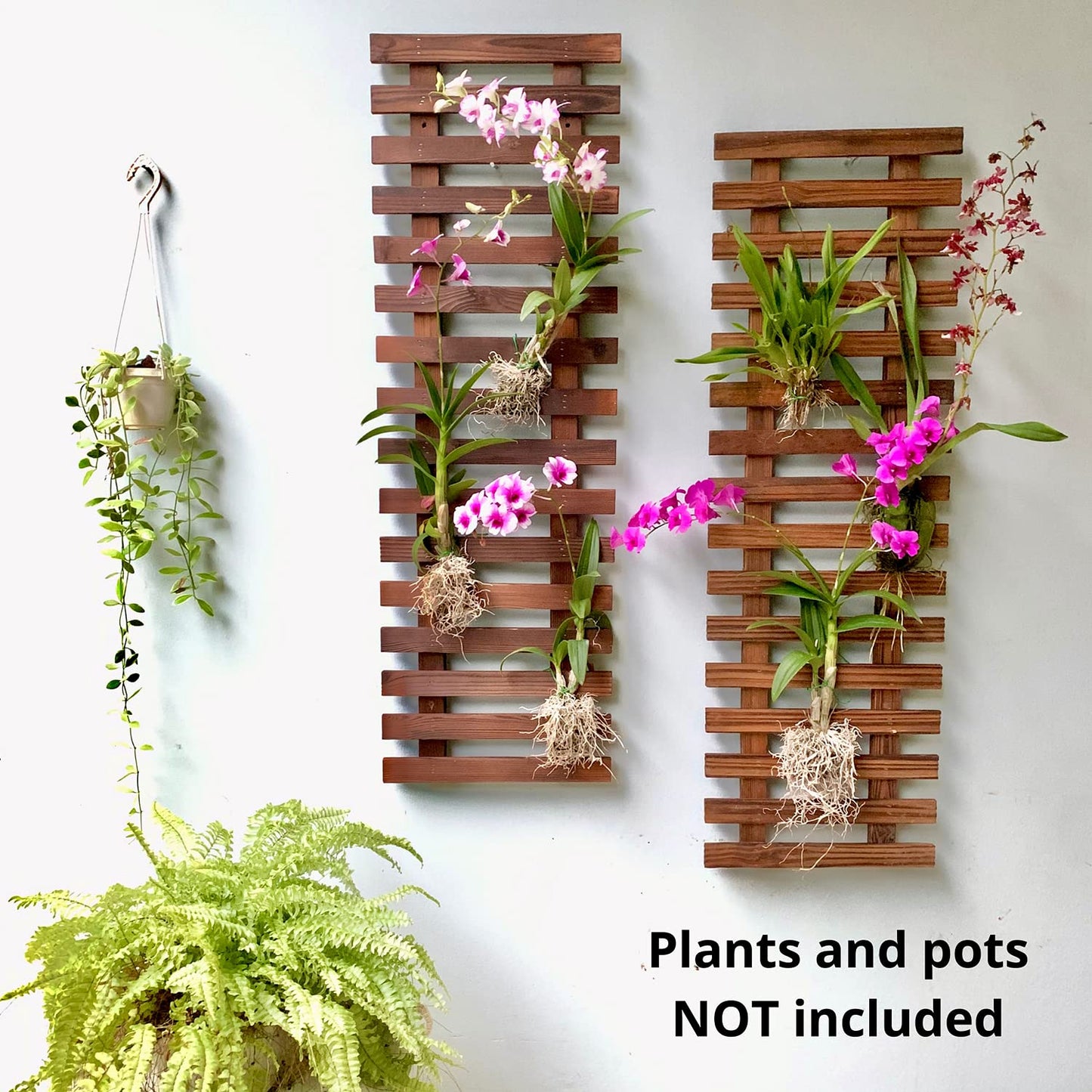 LalaGreen Bundle- 10 Pack, 4 Inch Black Self Watering Plant Pot + 2 Pack, 35.4 Inch Wooden Plant Holder Modern Indoor Hanging Wall Mount Vertical Hydroponic Garden Display Large Home Air Plant Decor
