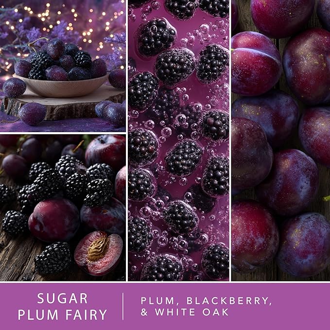 Scentsationals Fragrance Oil Plug In Air Freshener Refills 3-Pack - Sugar Plum Fairy - Works with Scentsationals Wall Plugs, Long-Lasting Home Fragrance, 0.8 fl oz Each, Packaging May Vary