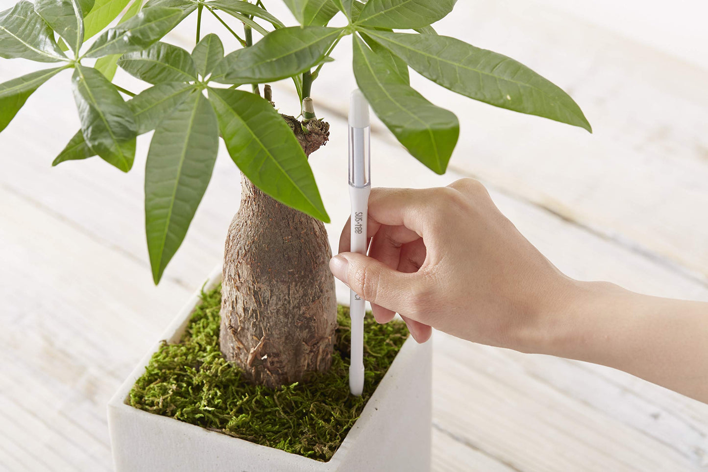 Sustee Aquameter (Large Green Refillable - Bundle of 2) - House Plant Soil Moisture Meter, Humidity Sensor Probe, Water Level Indicator - Best for Indoor Potted Plants