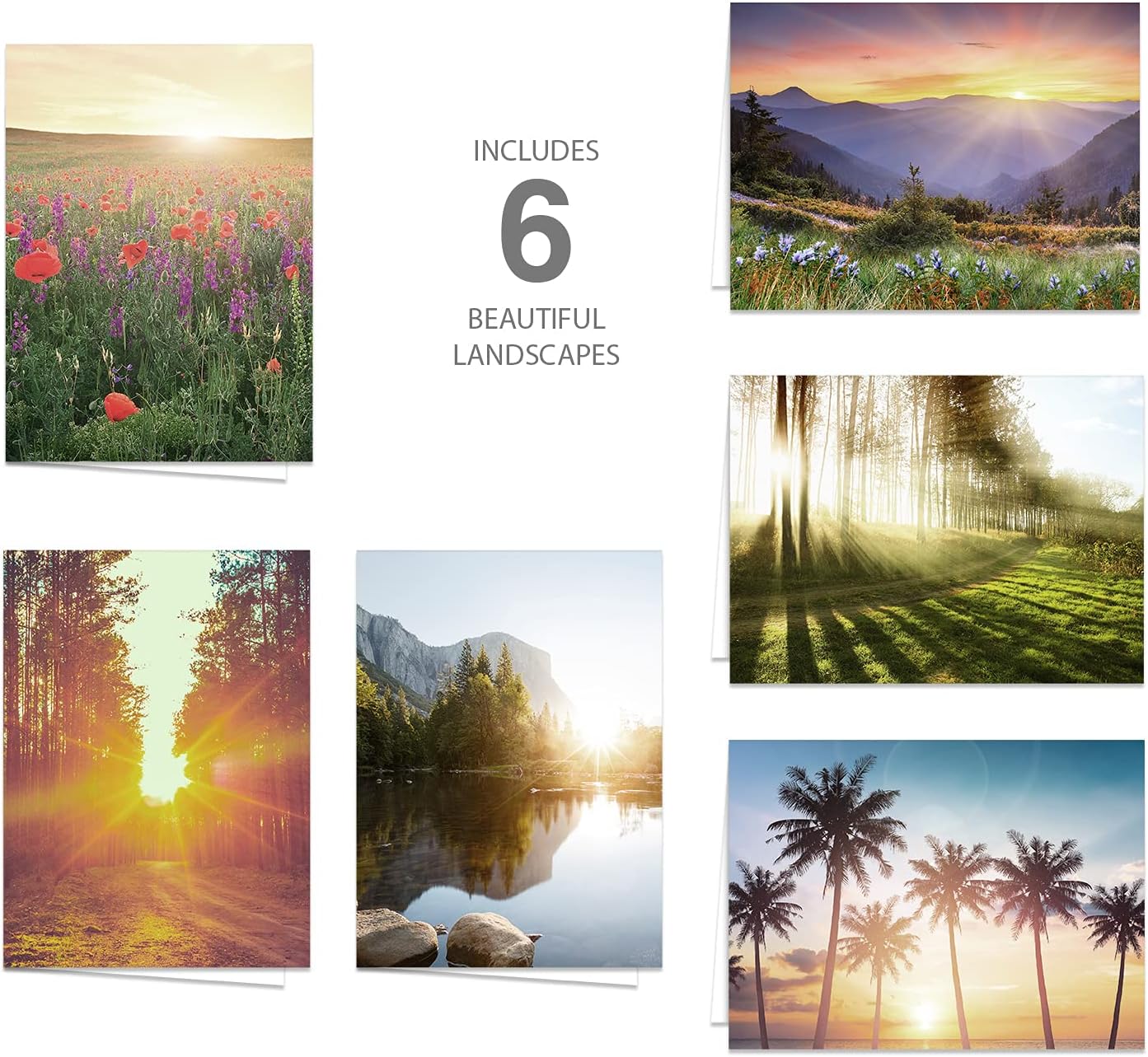 Canopy Street Beautiful Sunrise Greeting Note Card Pack / 24 Nature Greeting Cards With White Envelopes / 6 Lovely Outdoor Sunset Scenery Designs / 4 5/8" x 6 1/4" All Occasion Sympathy Cards