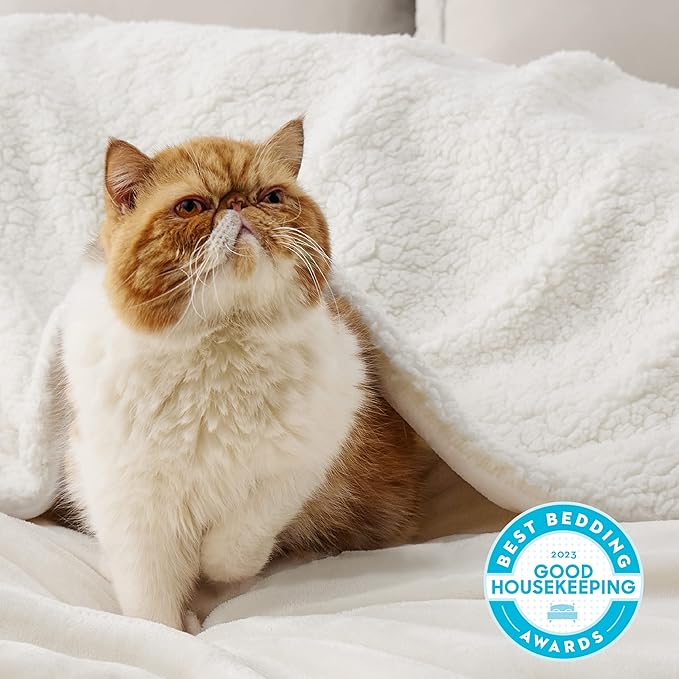 Bedsure GentleSoft Sherpa Fleece Blankets King Size for Bed - Thick and Warm Throw for Women and Men, Soft Fuzzy Plush King Blanket for Winter, Non-Heated, Cream, 108x90 Inches