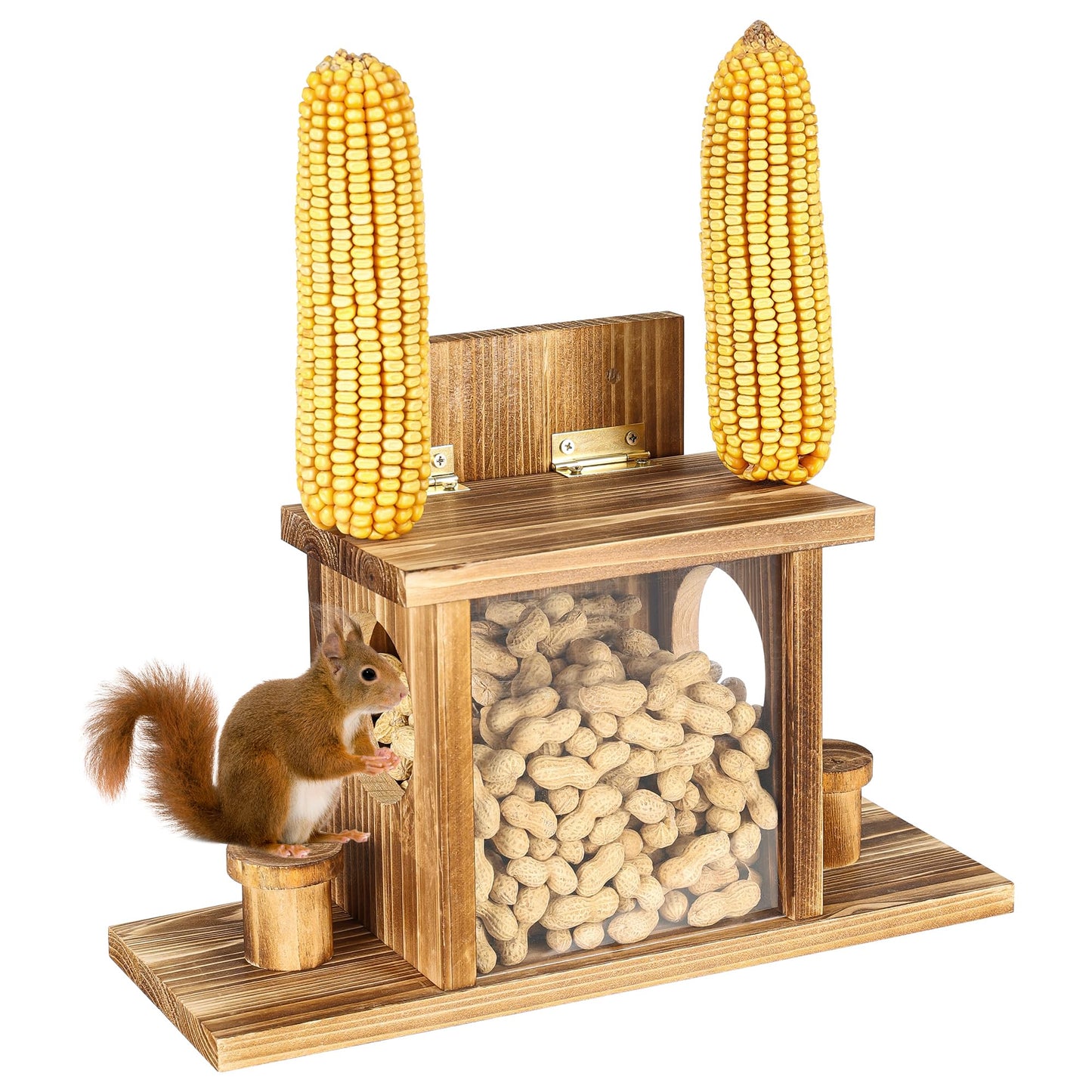 Carbonized Squirrel Feeders for Outside, Funny Chipmunk Feeder, Easy Filling & Cleaning with Removable Front Panel, Durable Outdoor House Box, Attracts Squirrel & Chipmunk