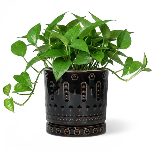 Eightpot 6 Inch Plant Pot, Ceramic Pots for Plants with Drainage Hole and Saucer, Round Planter for Indoor Outdoor Plants, Modern Decorative Flower Pots, Bedroom Decor, Gifts for Plant Lovers, Black