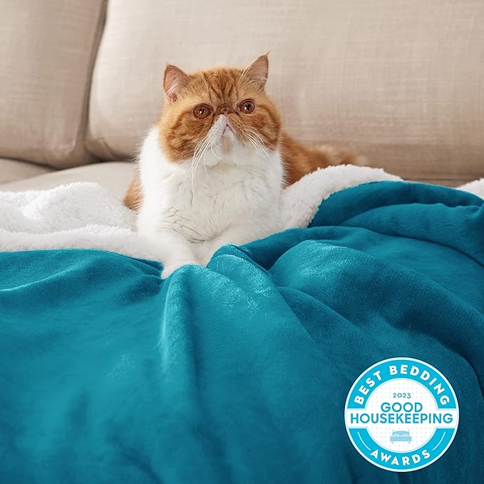 Bedsure GentleSoft Sherpa Fleece Throw Blanket for Couch - Thick and Warm Throw for Women and Men, Soft Fuzzy Plush Blanket for Winter, Non-Heated, Teal, 50x60 Inches