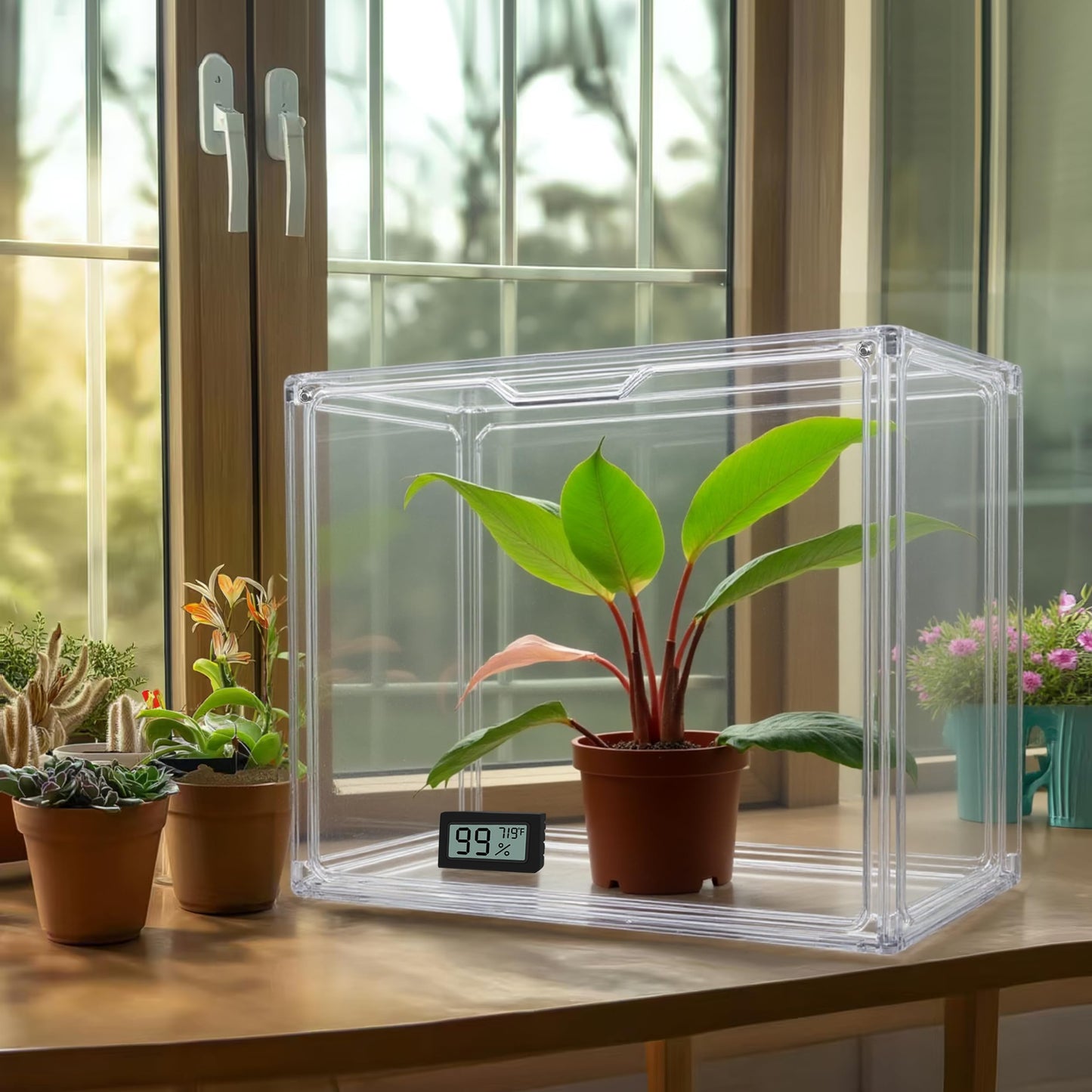 HBlife Mini Greenhouse for Indoor, Clear Stackable Green House with Magnetic Waterproof Door for Small Plants Nursery Germination and Display, Tabletop Portable Greenhouse, 14.1x8.6x10.6 Inch (3 Pack)