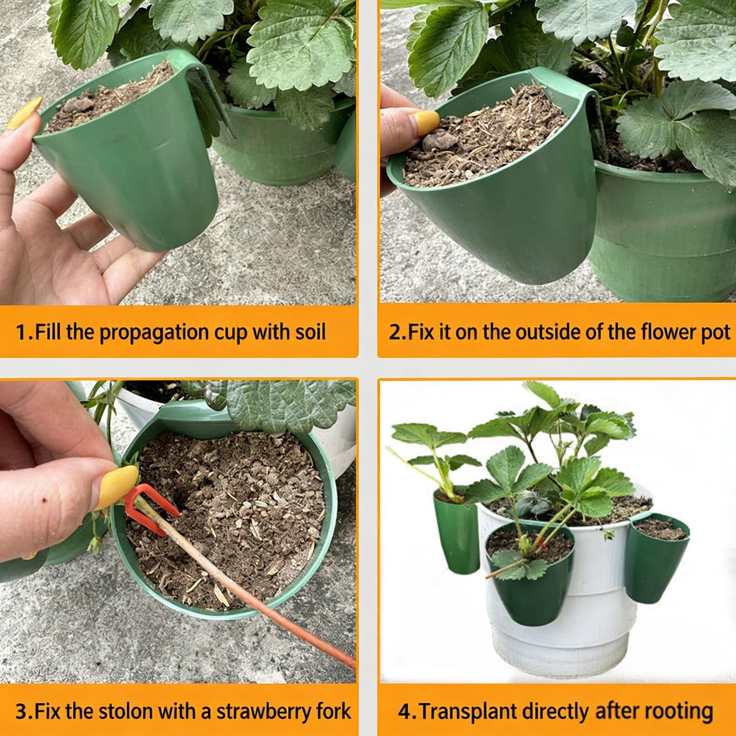 ordinarYone Breathable Strawberry Propagation Cups with Runner Forks for Root Rot and Promoting Growth in High Hu