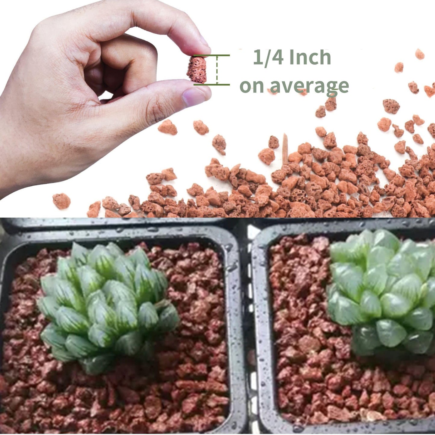 7LB Red Lava Rocks for Plants, Volcanic Rock Horticultural Lava Rock Soil for Landscaping Plants Drainage, Small Lava Rock Gravel for Succulents, Bonsai, Vase Fillers, Terrarium Plants, Top Dressing