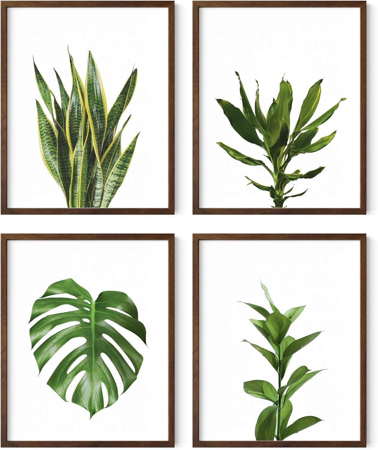 HAUS AND HUES Plant Wall Art - Set of 4 Botanical Prints, Sage Green Leaf Decor, Minimalist Plant Pictures for Wall (Walnut Frame, 8x10)