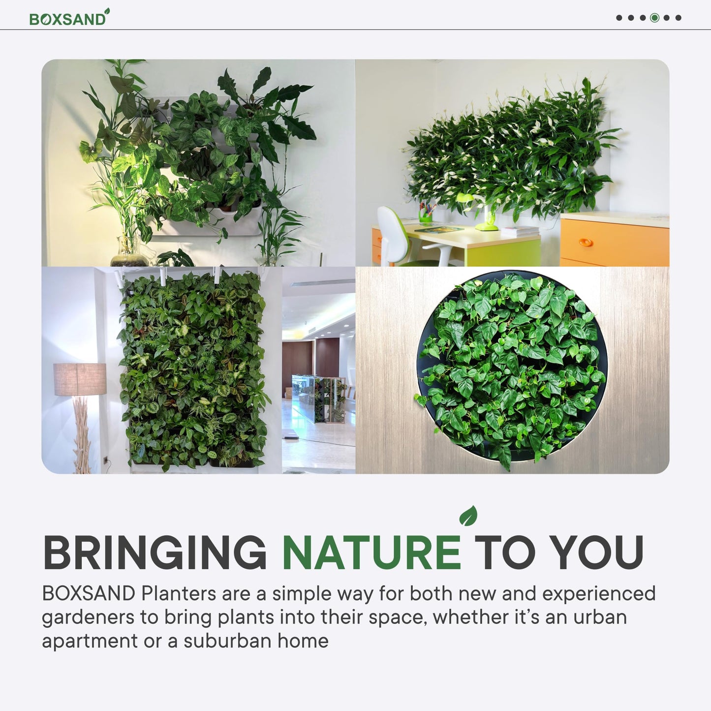 BOXSAND-6 Vertical Wall Planter (12"x26", Black with Square Pots) – Living Wall for 6 Plants, Indoor/Outdoor Vertical Garden System, Easy 2-Screw Install