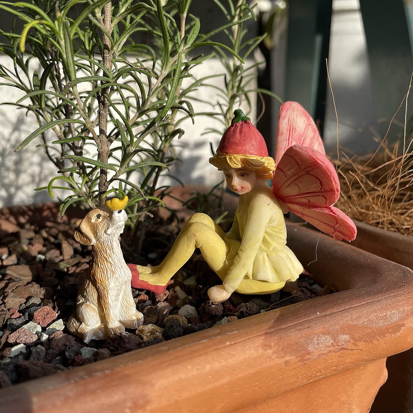 Miniature Fairies for Fairy Garden Fairy Figurines Accessories Outdoor Little Fairies Mini Fairies Set for Kids Garden Miniature Boy Fairies