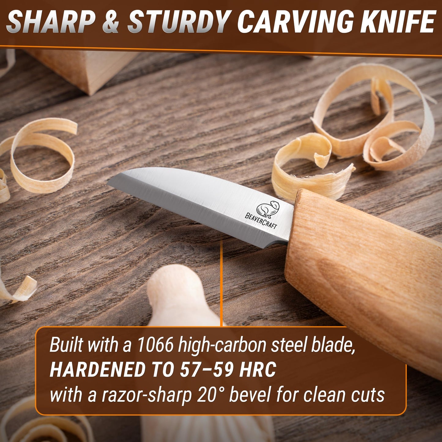 BeaverCraft Whittling Kit for Beginners, Wood Carving Kit for Beginners - Wood Carving Tools Woodworking Kit for Adults and Teens - Whittling Knife Kit with Wood Blocks - Wood Carving Set DIY03 Wizard