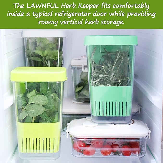 3 Pack Fresh Herb Keeper for Refrigerator, Clear BPA-Free Herb Saver, Storage Container for Cilantro, Parsley, Thyme, Mint & Asparagus, Preserver Keeps Fresh Herbs, Green & Blue & Orange