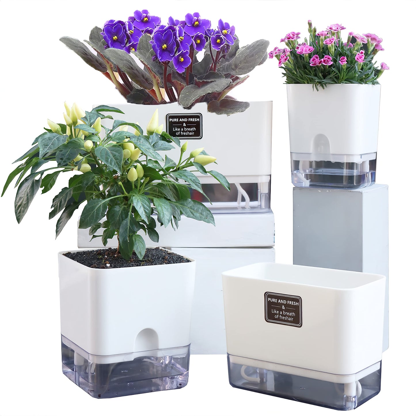 FAMZ Self Watering Planters 4 Pack，Self Watering Pots for Indoor Plants，Automatic Moisturizing，Transparent Square Flower Pot for Indoor and Outdoor Plants，Succulents，Violets，Ivy