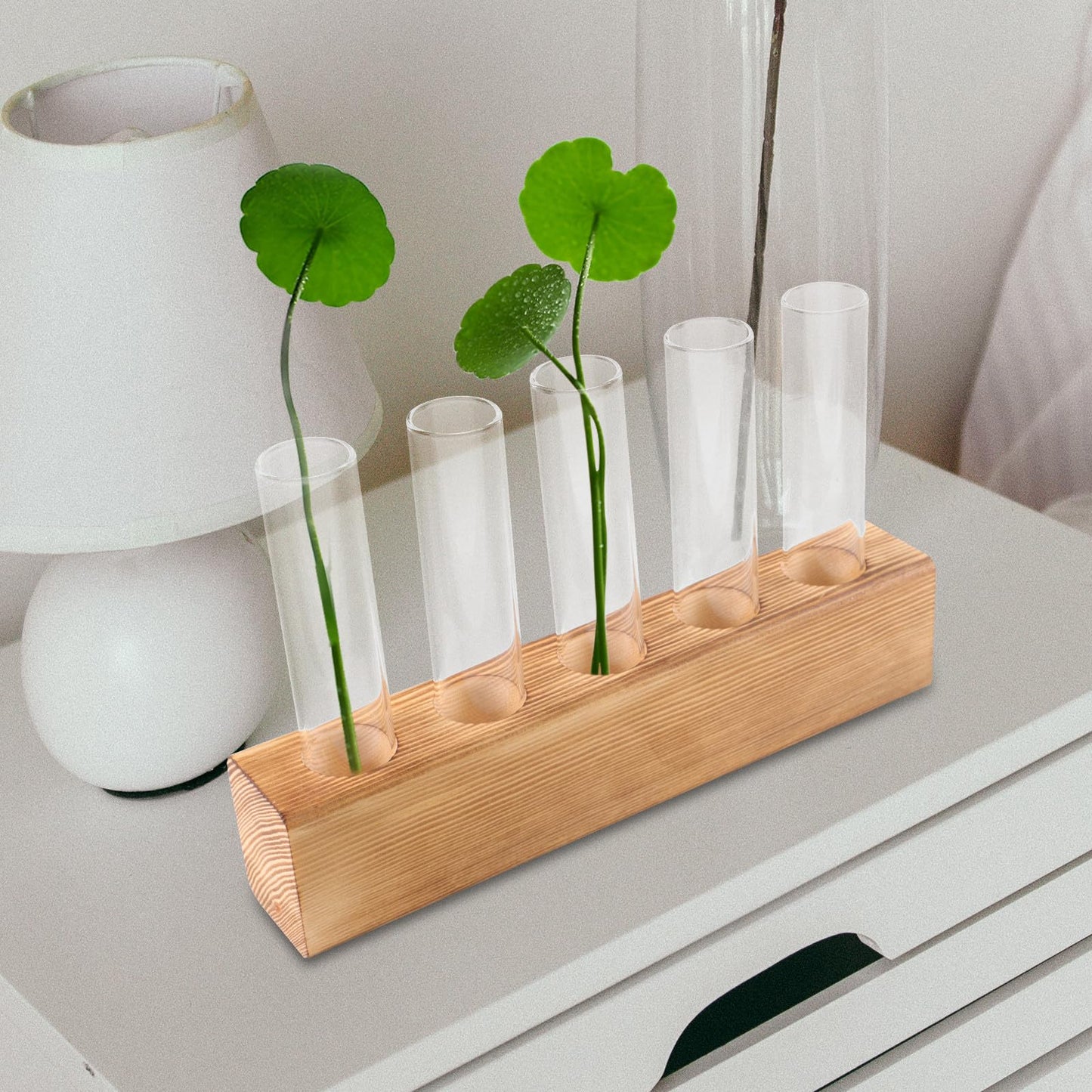 Gadpiparty Hydroponic Plants Vase with 5-Hole Glass Test Tubes and Wooden Stand, Water Propagation Station for Indoor Plant Growth and Desktop Terrarium Decor
