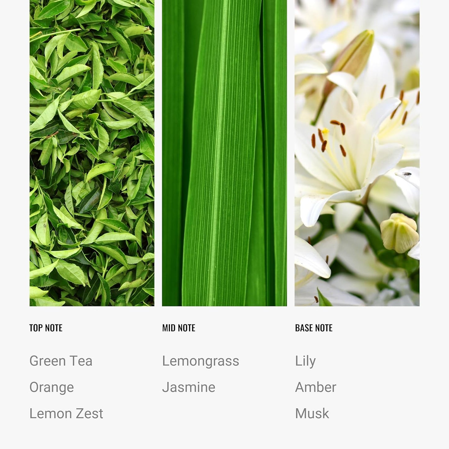 Hotel Collection Diffuser Oil - California Love - Aromatherapy Essential Fragrance Oil - Green Tea, Orange, and Lemongrass - 500mL 16.9 Fl oz
